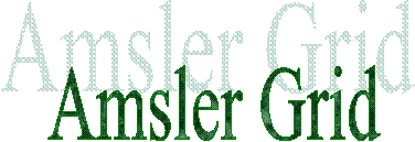Amsler Grid 